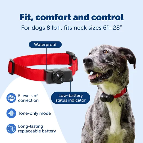 Miniatura 6 de PetSafe Sistema inalámbrico de contención de valla para mascotas, collar receptor solo para perros y gatos de más de 8 libras, resistente al agua