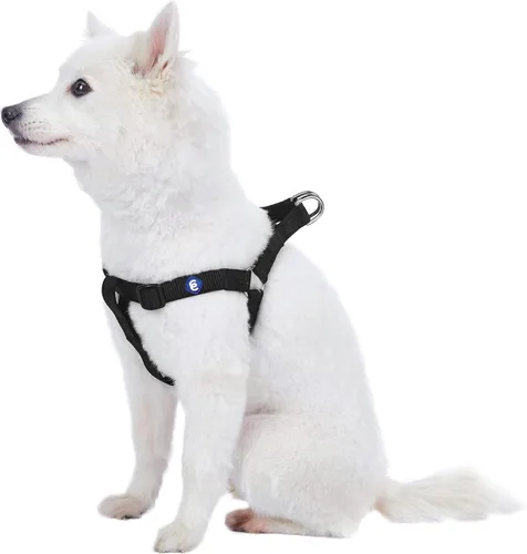 Miniatura 18 de Blueberry Pet Essentials Step-in - Arnés para perro, tamaño mediano, chaleco ajustable rosa fucsia, nailon sólido clásico para perros machos