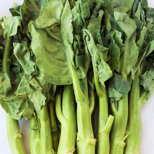 TomorrowSeeds - Semillas de brócoli chino - Más de 500 unidades - para plantar Jie LAN GAI LAN Rapini Rabe Kale Stem Greens Col Yu Choy Kai LAN