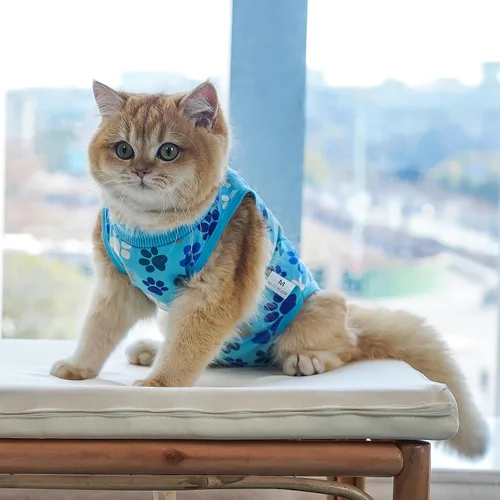 Miniatura 6 de Traje de recuperación para gatos: Traje de poscirugía azul suave para gatos con diseño de huella de pata - Traje de recuperación elástico