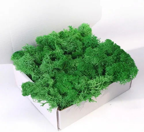 Miniatura 28 de Musgo preservado, musgo de 3.5 onzas para manualidades, decoración de musgo sintético, musgo verde natural para decoración de pared de floristería
