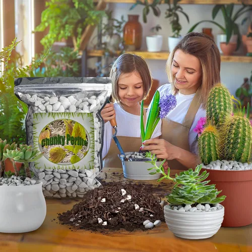Miniatura 5 de Doter Perlita gruesa orgánica para plantas (0.4 a 0.8 pulgadas de diámetro), mezcla de acondicionador de aditivo natural para suelos