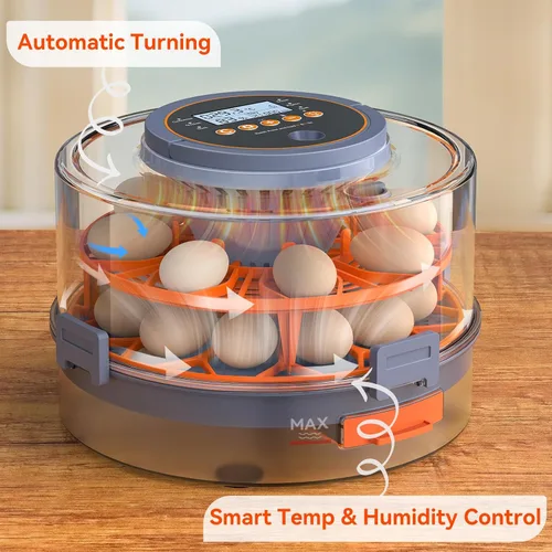 Miniatura 2 de Incubadora de huevos para incubar 18 huevos con giro automático, sensor de humedad, 5 modos preestablecidos, tapa transparente para observación