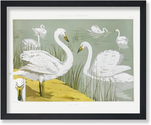 Miniatura 72 de Poster Master Vintage James Audubon Póster - Impresión Retro de Cuervo - Arte de Aves de América - Arte de Aves - Regalo para Hombres, Mujeres