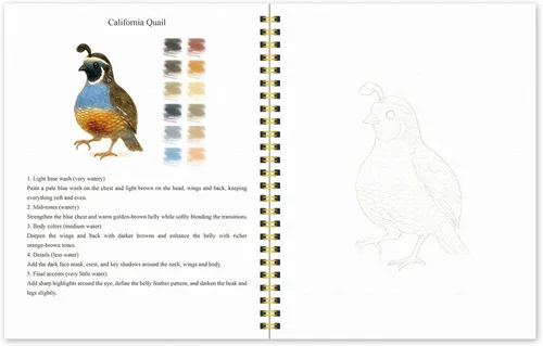 Miniatura 7 de Libro de trabajo de acuarela para principiantes – pájaros, 16 proyectos originales de acuarela, libro de papel de acuarela plano