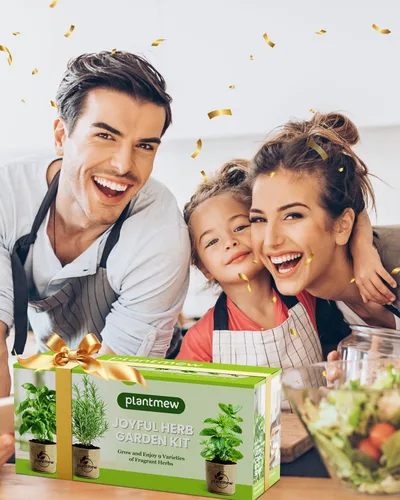 Miniatura 7 de Regalo para mujeres, mamá, ella – Kit de jardín de 9 hierbas para ventana interior Juego completo de semillas de hierbas con macetas, tierra