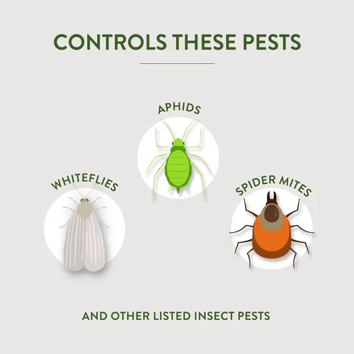 Miniatura 5 de Fungicida de la marca Garden Safe3, 1 galón, Fungicida, Insecticida y Acaricida con extracto de aceite de neem para jardinería orgánica, controla