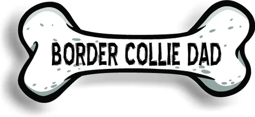 Miniatura 613 de Border Collie Dog Mom Bone - Imán para parachoques de automóvil, magnético para refrigerador, refrigerador decorativo, oficina, pizarra blanca