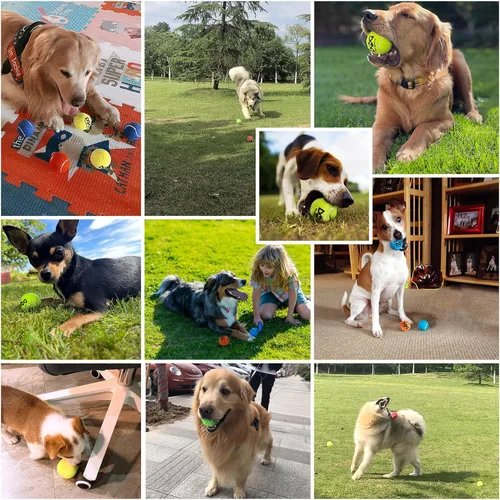 Miniatura 9 de INSUM Pelotas de tenis para perros, paquete de 12 unidades, 2.0 pulgadas, duraderas, no tóxicas, para exteriores, con bolsa de malla, certificado