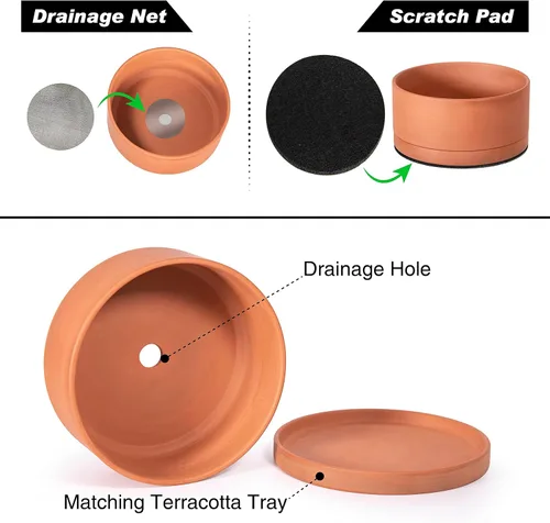 Miniatura 4 de D'vine Dev Maceta de Terracota Poco Profunda para Suculentas de 8 Pulgadas con Orificio de Drenaje y Platillo, Maceta Cilíndrica Redonda