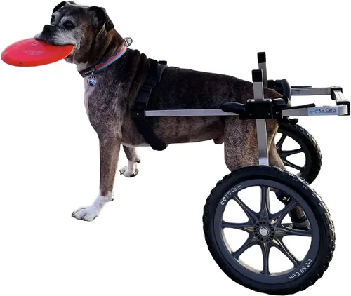 Silla de ruedas para perros, ajustable, ligera, diseño aprobado por veterinarios, ayuda de movilidad para perros (50-69 libras) | Tamaño grande