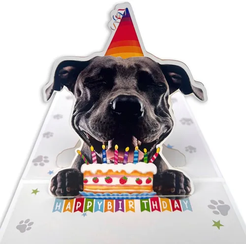Miniatura 7 de Tarjeta de Cumpleaños 3D Pop-Up American Pit Bull Terrier Dog – Lindo perro American Pit Bull Terrier con celebración de pastel, saludo de feliz