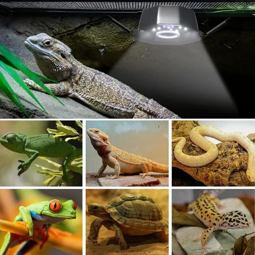 Miniatura 5 de GlowUp Luz de reptil UVB con atenuación, UVA UVB 10.0 para reptiles de selva tropical y desierto UVB5.0 y UVB10.0, brillo ajustable UVB lámpara