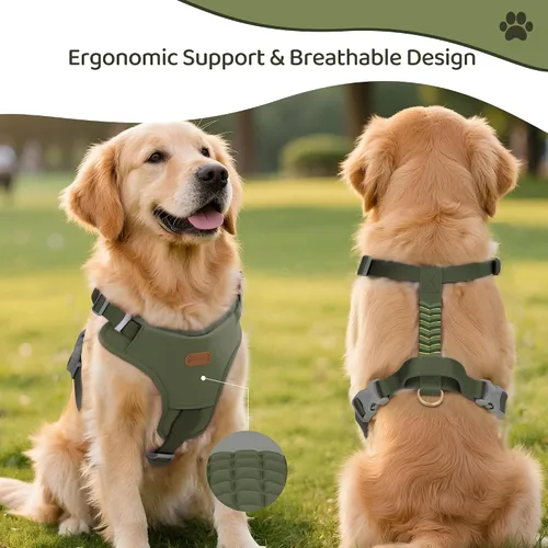 Miniatura 2 de Xlife Arnés para perros y gatos pequeños, arnés de chaleco ajustable sin tirones con hebilla de seguridad y anillo en D sin asfixia, fácil de poner