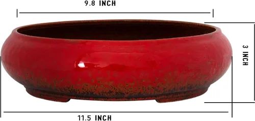Miniatura 2 de ARTKETTY Macetas de bonsái de cerámica para suculentas de 11.5 pulgadas con drenaje, macetas suculentas grandes y poco profundas para plantas de Rojo