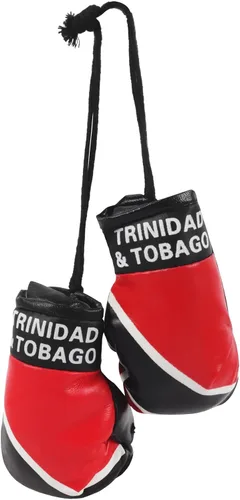 Miniatura 14 de SandT Collection Guantes de boxeo pequeños con bandera del país - Guantes de boxeo para colgar
