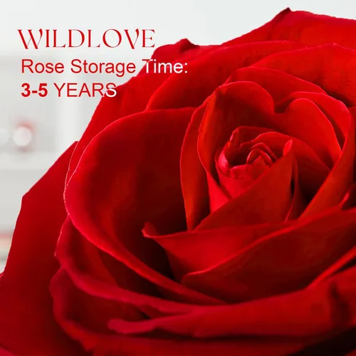 Miniatura 4 de WILDLOVE Preserved Real Rose with Necklace, Mothers Day, Birthday Gifts for Women Mom Wife, Anniversary Romantic Gift for Her Girlfriend