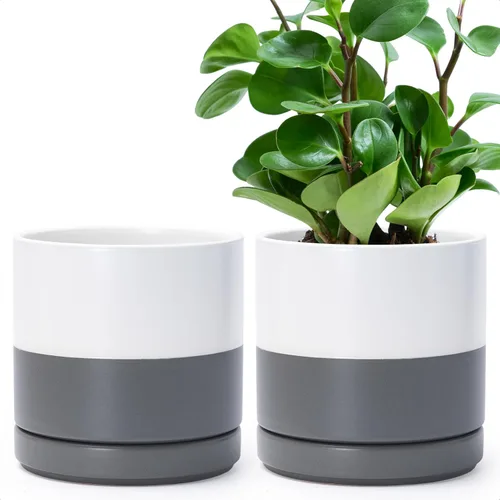 Miniatura 39 de D'vine Dev - Juego de 2 macetas de plantas de 3.5 pulgadas, maceta de cerámica para plantas con agujero de drenaje y platillo, negra, 94-V-A-2