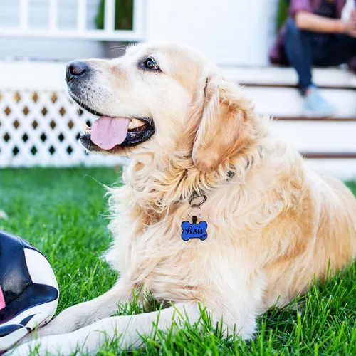 Miniatura 6 de YEHANTI Etiquetas de silicona para perros grabadas para mascotas, silenciosas y ligeras, etiquetas de identificación personalizadas para mascotas