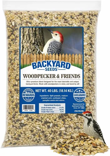 Miniatura 9 de Backyard Seeds Finch & Small Songbird Frenzy 5lbs – Mezcla de semillas de cardo Nyjer prémium para comederos de pinzones, bolsa pequeña de comida
