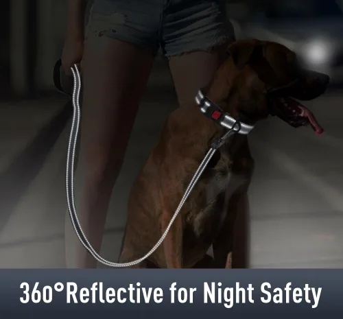 Miniatura 4 de AirTag - Collar de perro con soporte AirTag compatible con AirTag, acolchado suave reflectante, hebilla de bloqueo de seguridad, nailon ajustable