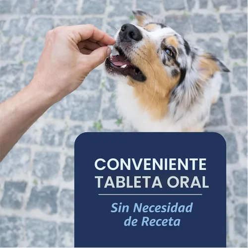 Miniatura 3 de PetArmor CAPACTION (nitenpiram) Tratamiento oral contra pulgas para perros, tabletas de acción rápida comienzan a matar en 30 minutos, tratamiento