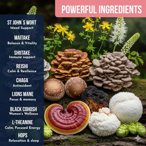 Miniatura 6 de Café de hongos para mujeres de Ylva Blends - Café instantáneo de hongos para el equilibrio hormonal, la perimenopausia y la menopausia - 36
