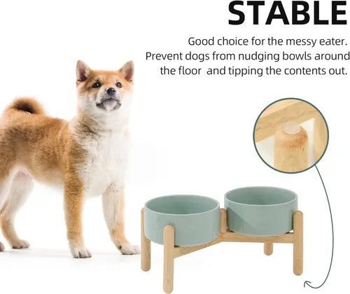 Miniatura 7 de Havniva Cuenco elevado de cerámica de 6.1 pulgadas para perros con soporte para platos de perros de razas pequeñas y medianas, cuenco de comida y 2