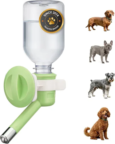Choco Nose Botella patentada sin goteo para perros/alimentador para perros/gatos y otros animales de tamaño pequeño-mediano - para jaulas, jaulas o