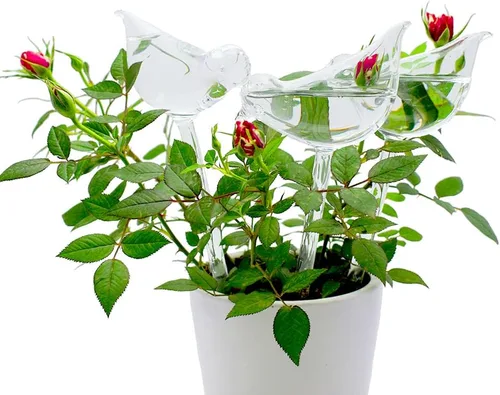 Miniatura 3 de Globos de riego de plantas de vidrio, globos de riego automático en forma de pájaro, inserto de maceta de riego automático, dispositivos de riego