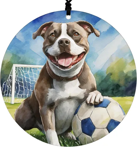 Miniatura 9 de Adorno de Navidad de Pitbull - Adorno colgante deportivo para el hogar con diseño temático de béisbol - Adorno de disco acrílico 2025 para árbol