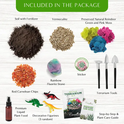 Miniatura 2 de Creations by Nathalie – Kit premium pequeño de terrario DIY para suculentas, cactus y plantas de aire, incluye tierra, musgo, piedras, herramientas