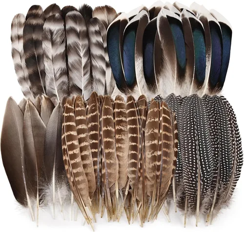 Miniatura 9 de iHUFeather 120 plumas de faisán naturales a granel, 10 estilos de plumas mixtas para manualidades, manualidades, sombreros, arreglos florales, boda
