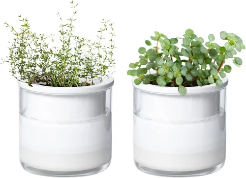 Miniatura 9 de Maceta auto-regante Phoenix Vine de 6 pulgadas, diseño en terracota blanca para plantas, maceta cilíndrica de terracota interior con jarrón de Blanco