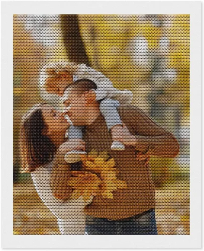 Miniatura 17 de Oznufi Kits de pintura de cuentas personalizadas para adultos, taladro completo, cuentas de fotos 5D personalizadas, imagen personalizada, regalos