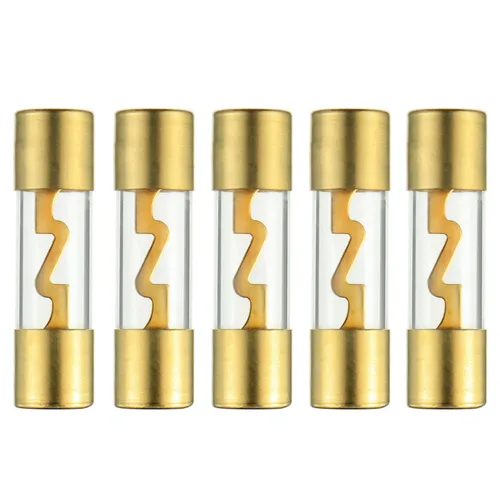 BOJACK - Portafusibles ANL de 100 amperios chapados en oro para audio de coche/auto/marino, protección de potencia del amplificador estéreo (paquete