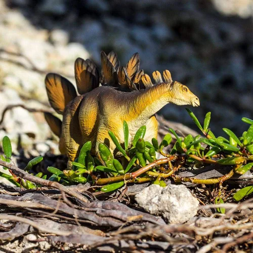 Miniatura 7 de Safari Ltd. Stegosaurus - Figura icónica modelo de dinosaurio de 8.5 pulgadas, juguete divertido y educativo para niños, niñas y niños a partir de 3