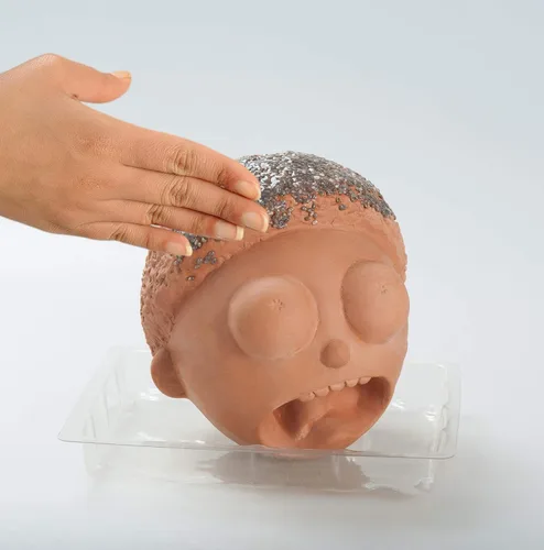 Miniatura 6 de Chia Pet Rick & Morty - Morty con paquete de semillas, maceta decorativa de cerámica, fácil de hacer y divertido de cultivar, regalo novedoso