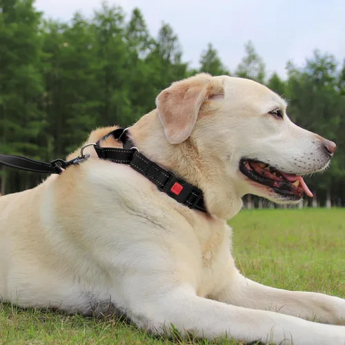 Miniatura 6 de Joytale - Collar martingale para perros, reflectante de alta resistencia para seguridad, hebilla de liberación rápida, collares ajustables de nailon