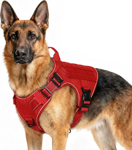 Miniatura 58 de rabbitgoo - Arnés táctico para perros pequeños, arnés resistente para mascotas con asa, chaleco de servicio sin tirones para razas pequeñas, chaleco
