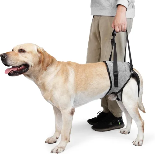 Soporte para patas traseras para perros, cabestrillo para patas traseras, para razas medianas a grandes, perros mayores, mascotas lesionadas,