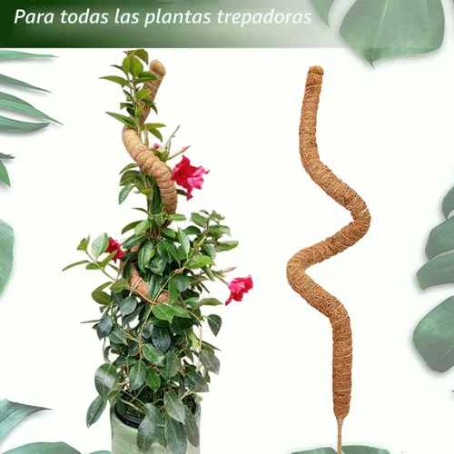 Miniatura 4 de Poste de musgo de 60 pulgadas para plantas Monstera, postes de musgo altos y flexibles para plantas trepadoras de interior, palos grandes hechos a