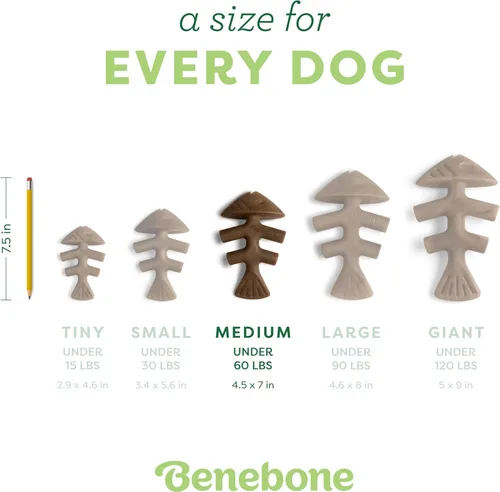 Miniatura 4 de Benebone Fishbone - Juguete para morder de hueso de pescado para perros duradero para masticadores agresivos, pescado real, fabricado en Estados