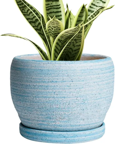 Miniatura 36 de SQOWL Macetas de cerámica – Maceta de 6 pulgadas con orificio de drenaje y bandeja, maceta redonda para plantas de interior, maceta decorativa