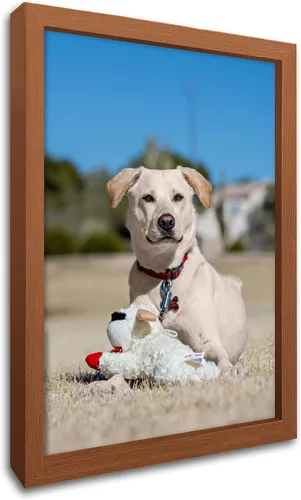 Miniatura 23 de Impresiones en lienzo personalizadas con tus fotos para mascotas, impresiones de fotos familiares, lienzo personalizado, aleación de aluminio, arte