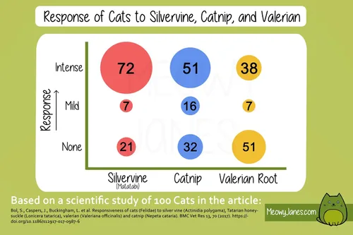 Miniatura 3 de Meowy Janes Matatabi - Palitos masticables – Un juguete natural para gatos y golosinas para gatos – Alternativa de hierba gatera