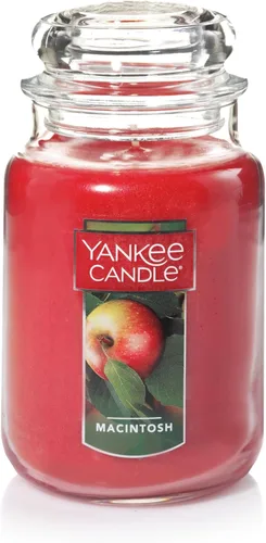Miniatura 12 de Yankee Candle - Vela perfumada en tarro grande de 22 onzas, clásica, de solo una mecha, más de 110 horas de combustión, para aromaterapia, otoño e