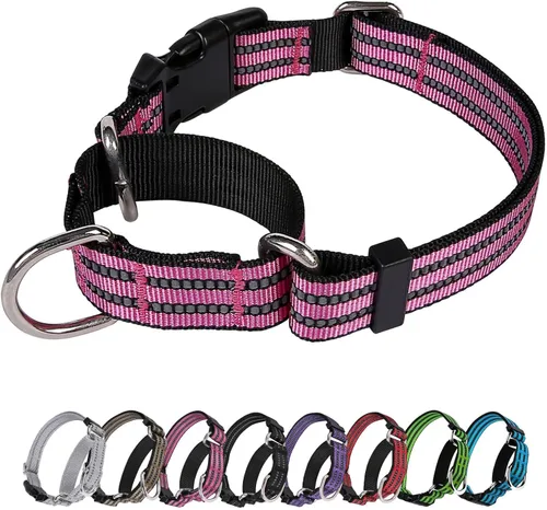 Miniatura 23 de Martingale - Collar para perro, collar reflectante ajustable de nailon con hebilla de liberación rápida (rosa intenso, talla L)