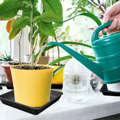 Miniatura 7 de 10 platillos cuadrados de plástico para plantas, maceta de 8 pulgadas, bandeja de goteo de plástico grueso para jardín, goteos de agua y tierra