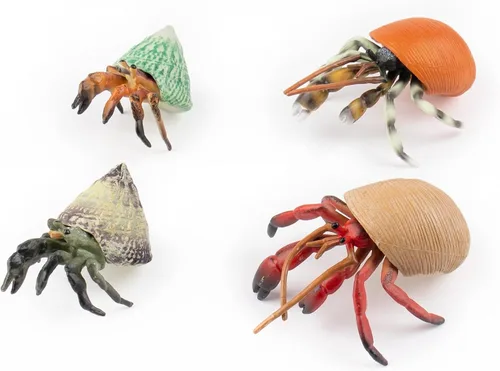 Framendino, Paquete de 4 modelos realistas de cangrejo ermitaño de animales marinos para decoración del hogar